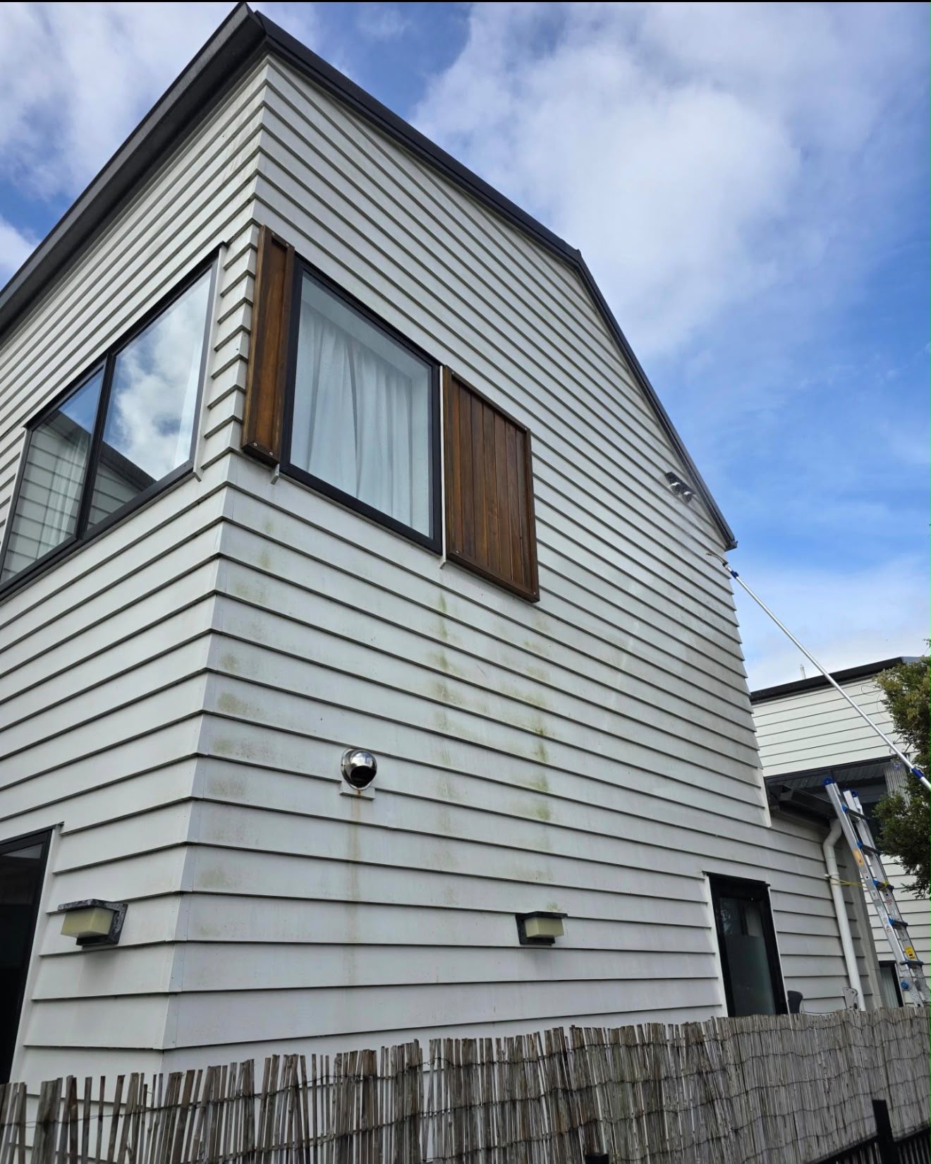 White weatherboard North Shore home with green organic growth before washing
